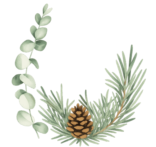 Mariage Charlotte et Vincent